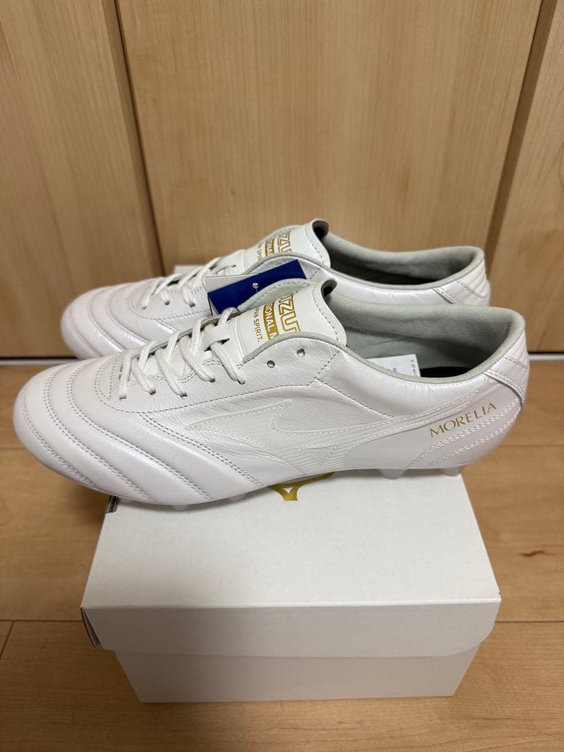 【Kazuhiro Isoda】 モレリアUL JAPAN 25cm