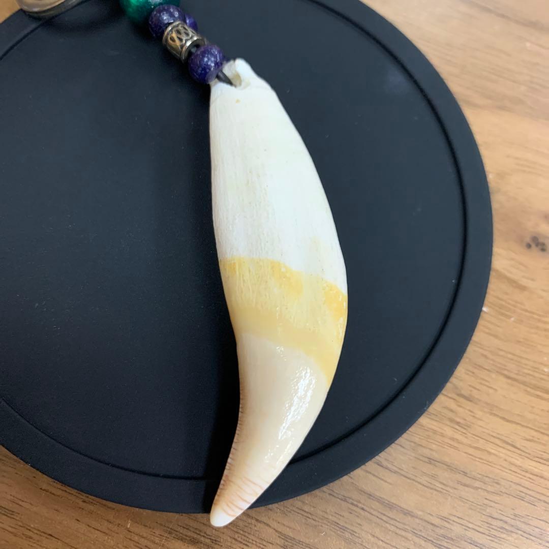 ヒグマ 熊 キバ 牙 キーホルダー