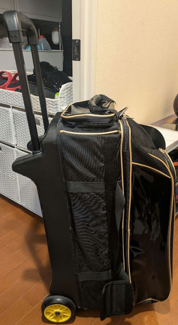 ボウリングバッグ　3個　Brunswick