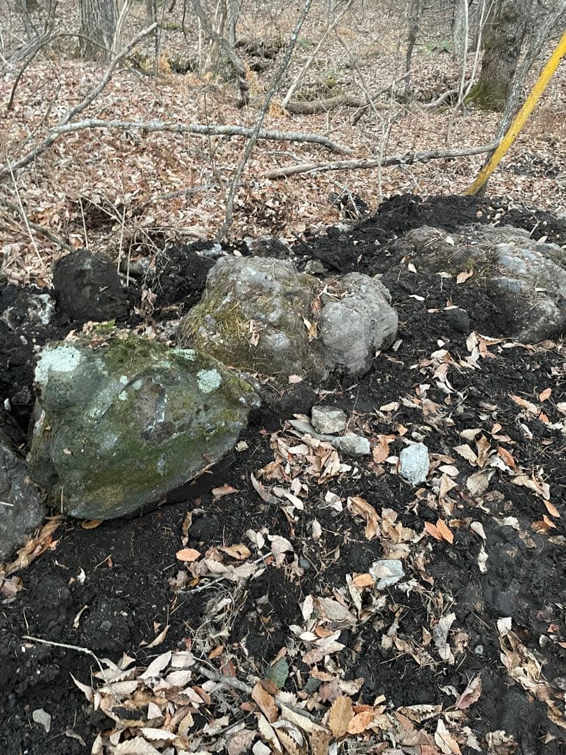 【大量】浅間溶岩石