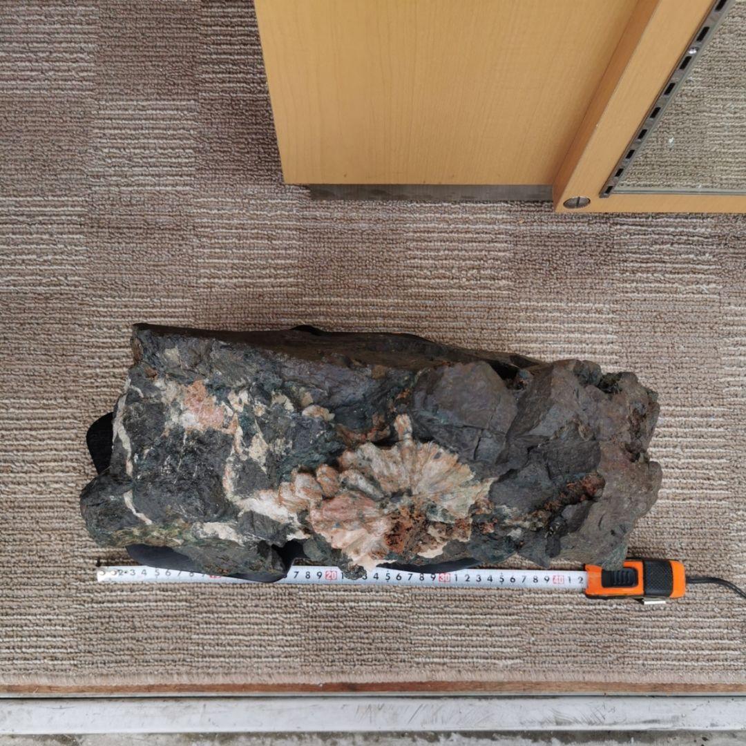 根尾谷産　菊花石　21.7キロ　鑑賞石　石　置物　オブジェ　インテリア　盆石