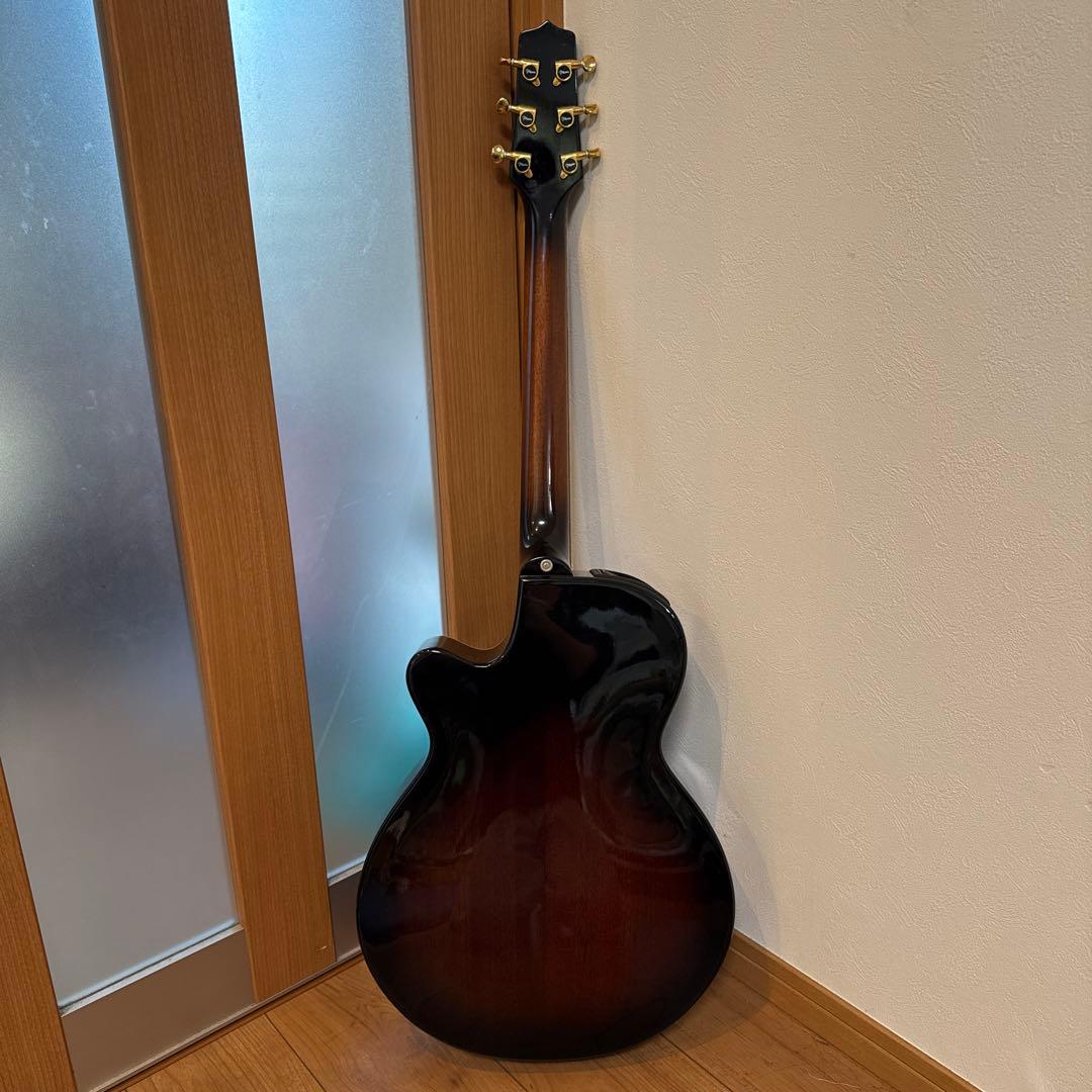 ギター Takamine DSP-110