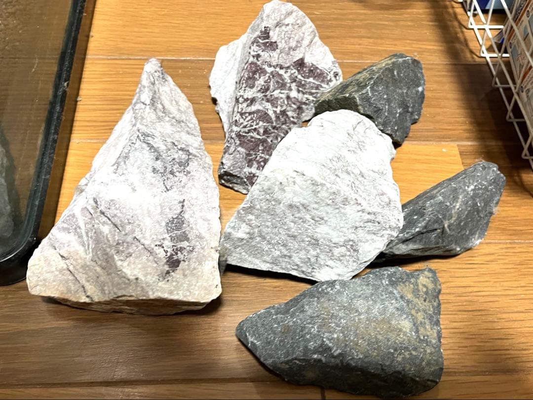 水槽 格安 ※引取限定※ 他掃除用具、濾過器写真同等一機