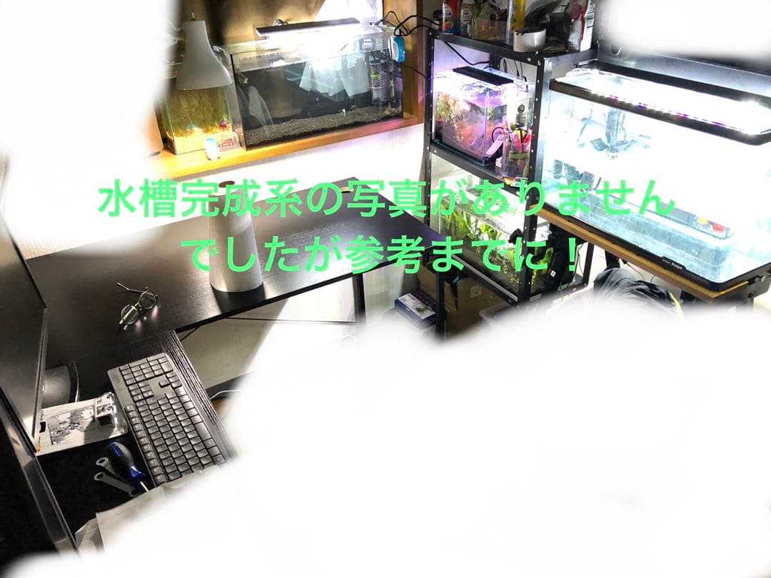 水槽 格安 ※引取限定※ 他掃除用具、濾過器写真同等一機