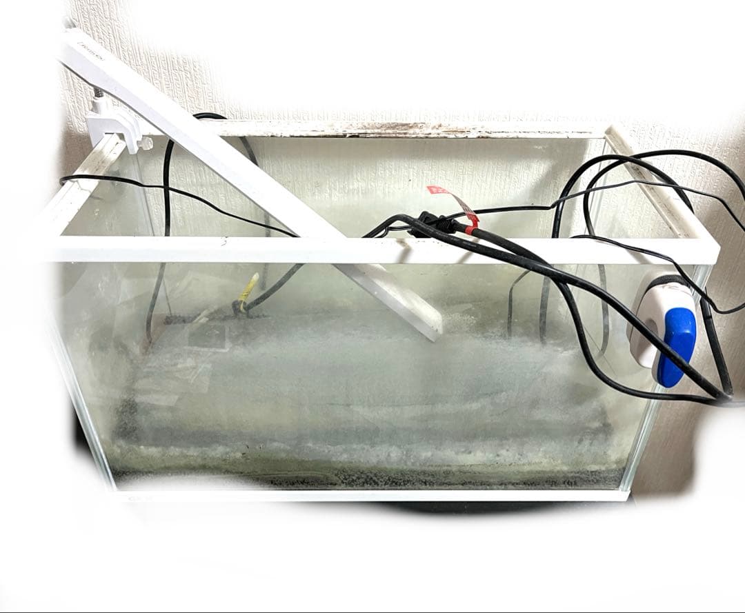 水槽 格安 ※引取限定※ 他掃除用具、濾過器写真同等一機