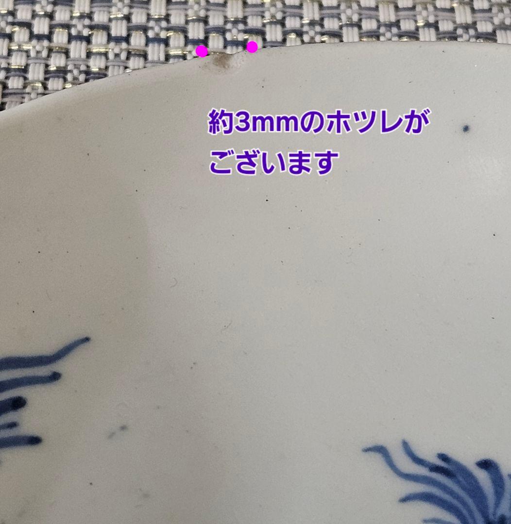 【名品❗】江戸時代前期〜中期　藍九谷様式 鮎の図　16.8cm皿　皿裏　唐草文様