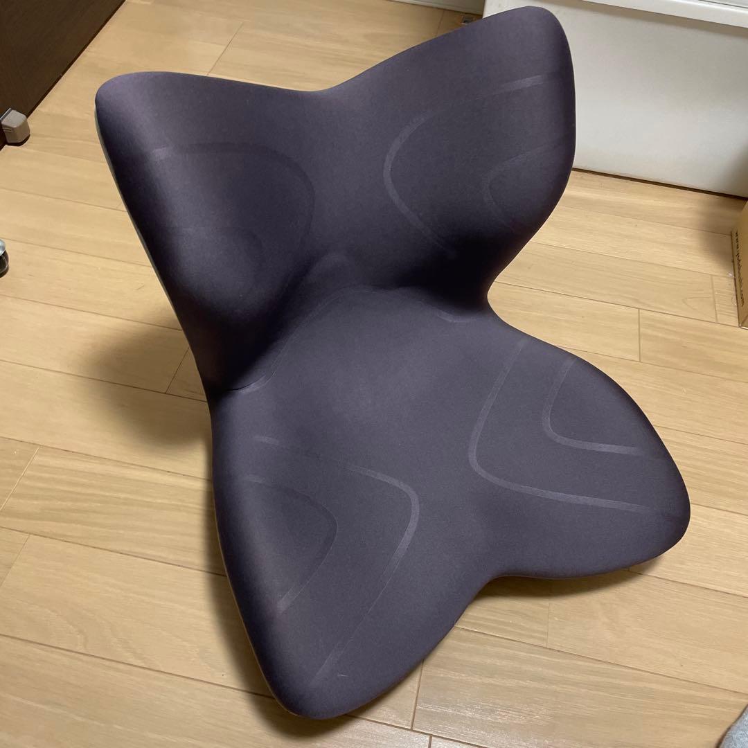 Styleスタイルプレミアム 姿勢矯正用クッション ブラウン