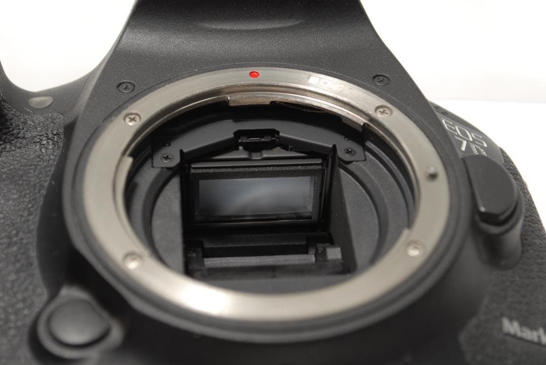 ☘️美品✨超望遠レンズキット☘️Canon EOS 7D Mark Ⅱ