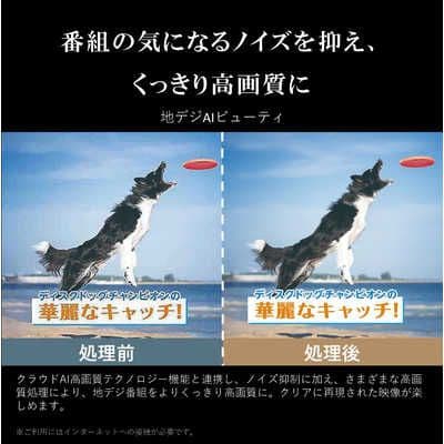 液晶テレビ 全国配送無料 2024年 50V型 50M550M REGZA
