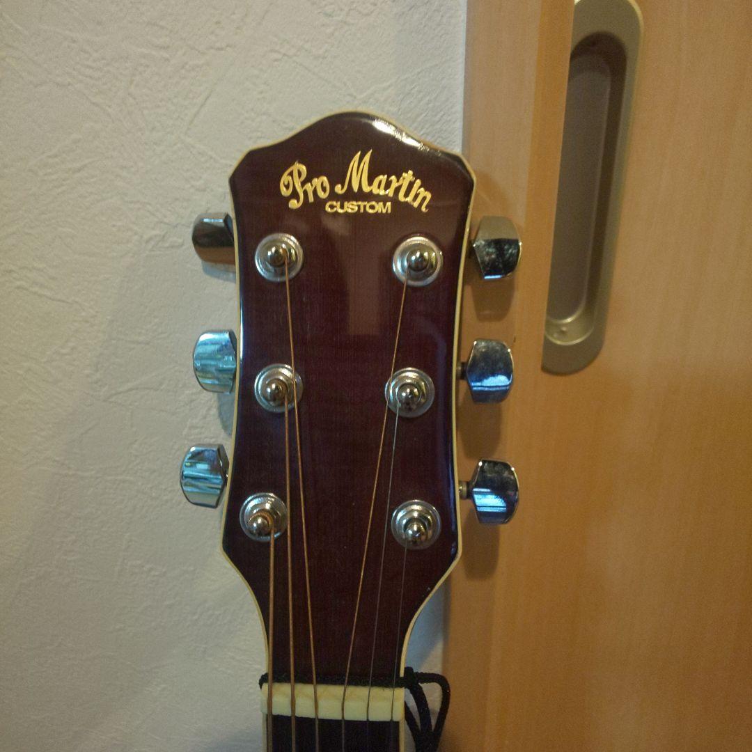 promartin ea500w vs エレアコ　ギター