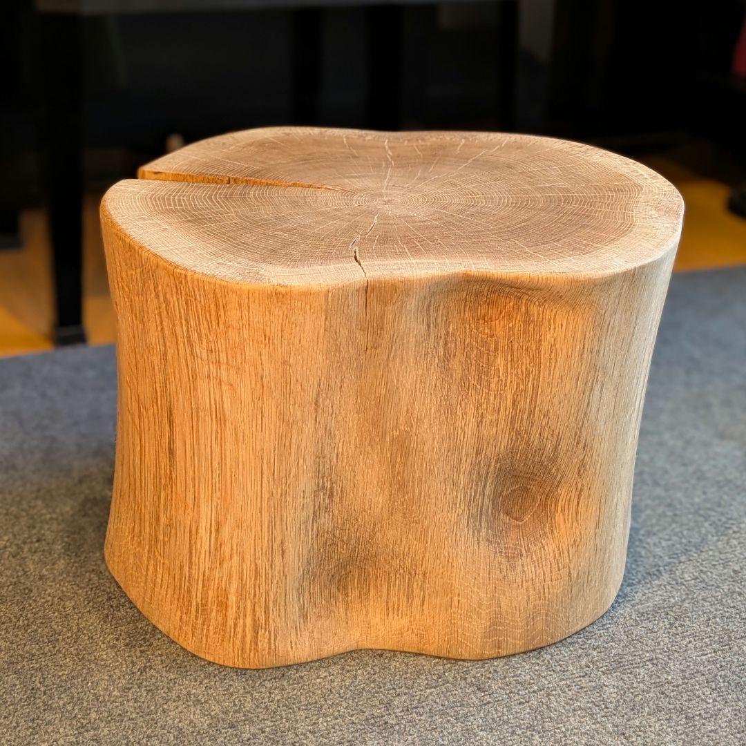 3104　　ミズナラ　水楢　天然木　切り株　丸太　輪切り　高さ約28㎝