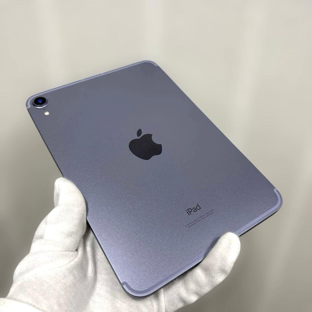 iPad mini6 256GB セルラー バッテリー91% シムフリー