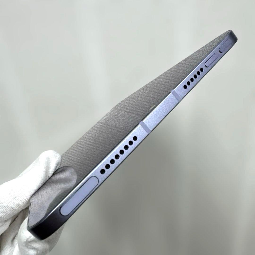 iPad mini6 256GB セルラー バッテリー91% シムフリー