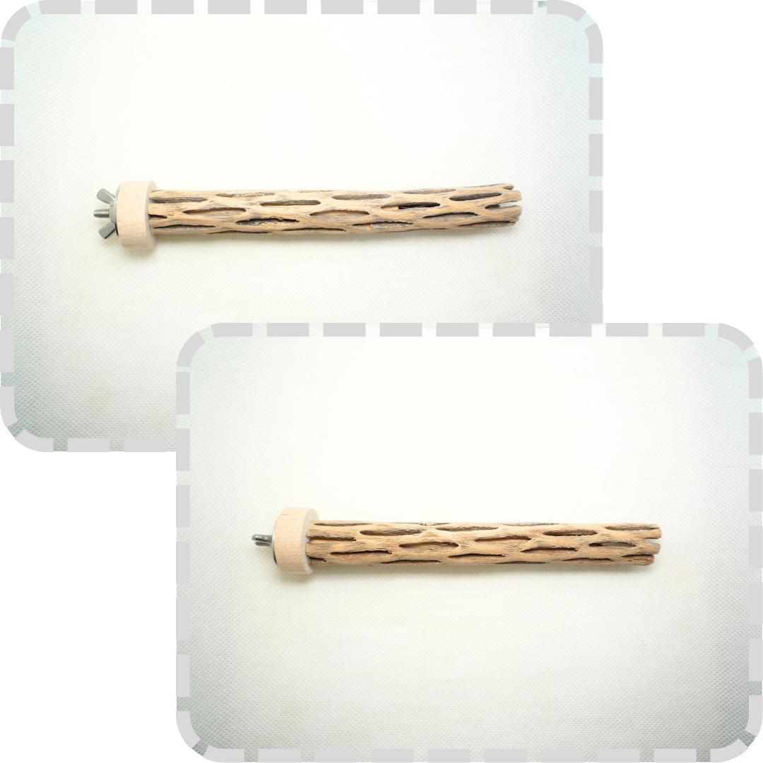 らいちょう　カクタスパーチ　3本セット