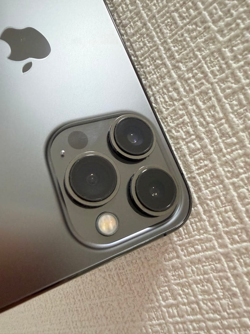 Apple iPhone 13 Pro グラファイト 本体 充電ケーブル付き