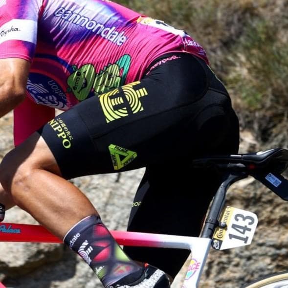 選手支給品 EFエデュケーションイージーポスト PALACE 限定ビブショーツ