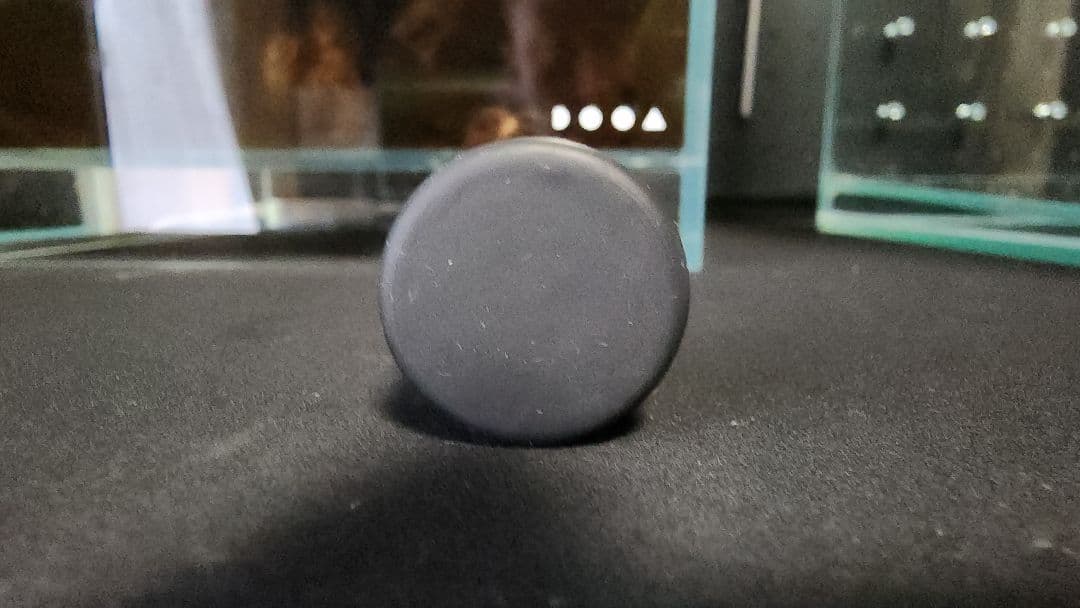 Rainforest 600×300×450