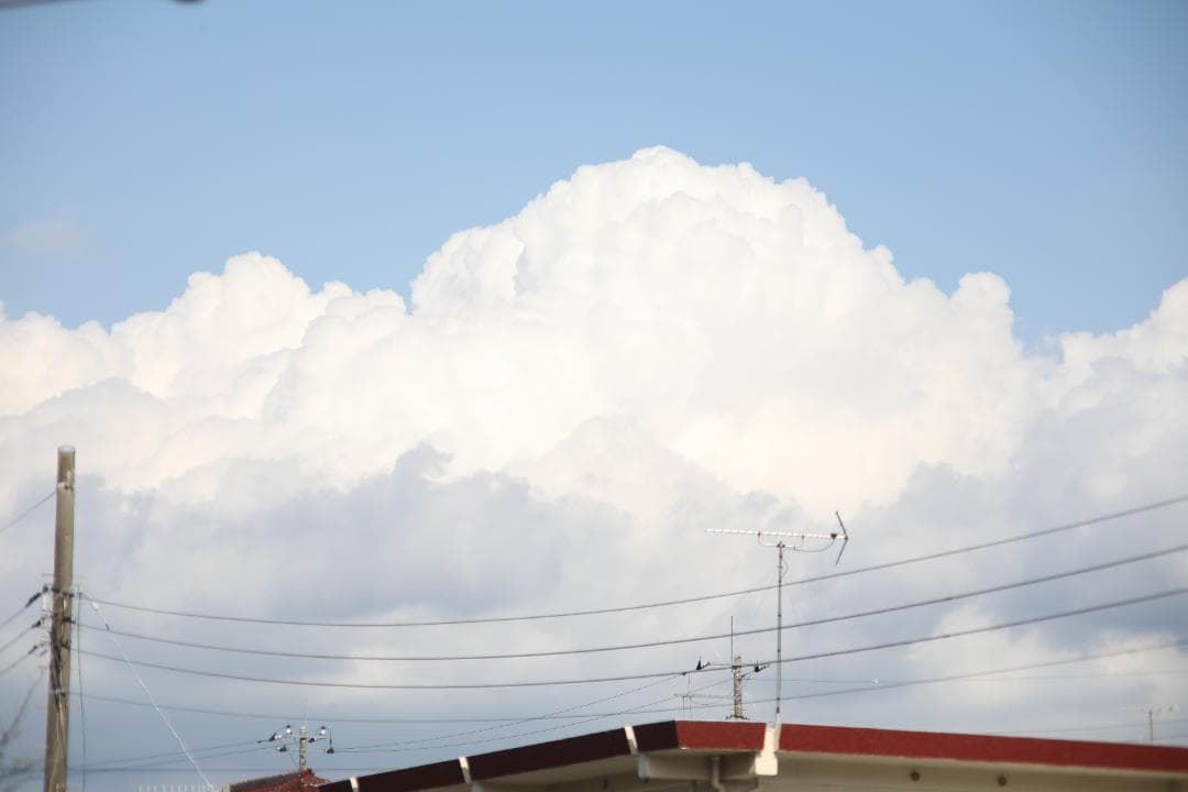 レンズ(単焦点) CANON NEW FD 100mm f/2.8 #7622