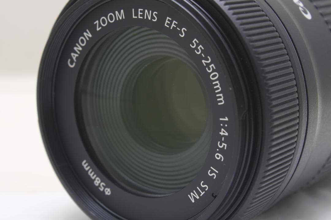 キヤノン EF-S 55-250mm F4-5.6 IS STM 9942