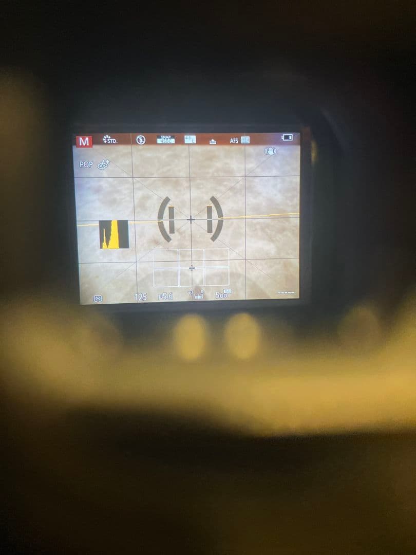 デジタルカメラ PanasonicLUMIX DC G99