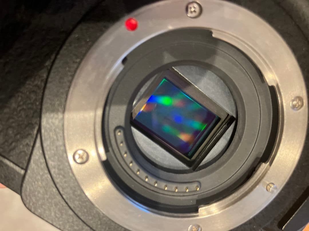 デジタルカメラ PanasonicLUMIX DC G99