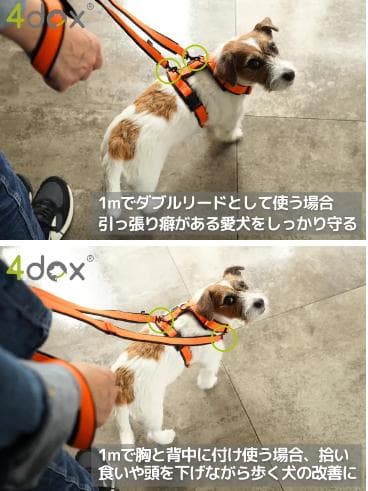 4dogコンフォートプラスハーネスM・スウィッチリーシュ2M/20mm