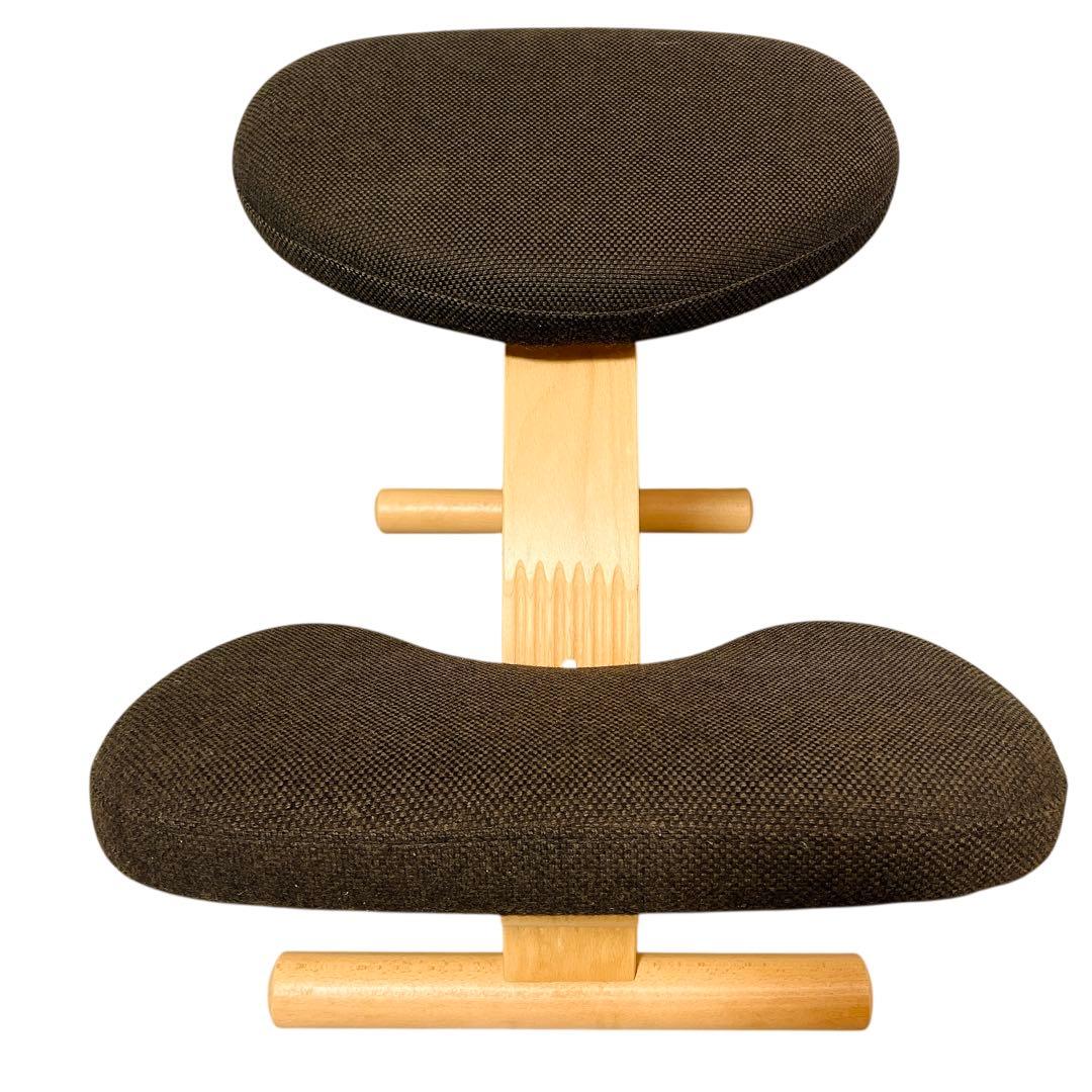 ★バランスイージー 通常フレーム バランスチェア リボ社 腰痛対策 椅子