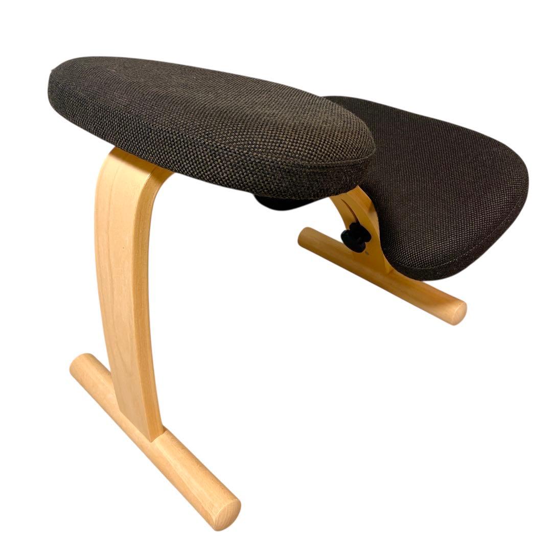 ★バランスイージー 通常フレーム バランスチェア リボ社 腰痛対策 椅子