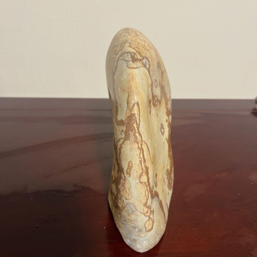 【最高級鑑賞石】菊花石 20cm 紋石 水石 盆石 根尾谷 天然石 置物