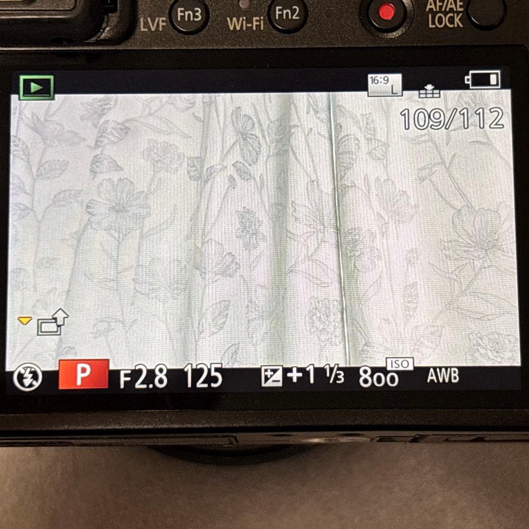 デジタルカメラ LUMIX DMC-LX100ライカレンズ Panasonic