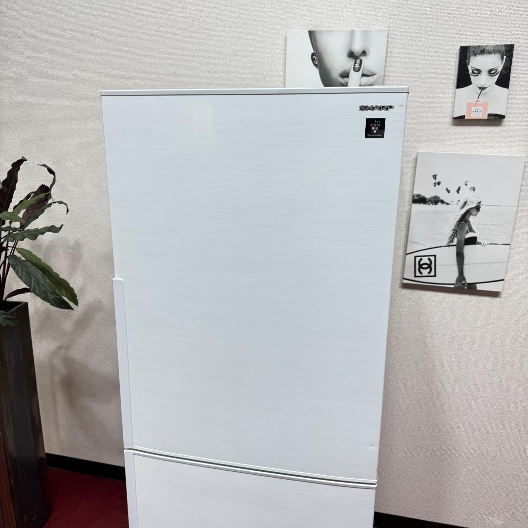 東京23区送料無料　シャープ2ドア冷蔵庫2020年製280L　洗浄/除菌済み