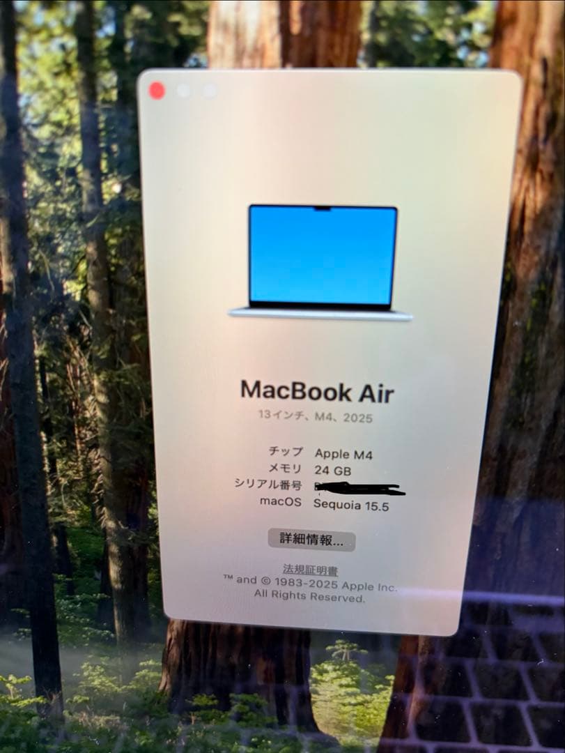 MacBook Air 2025 M4 24GB 1TB スカイブルー中古