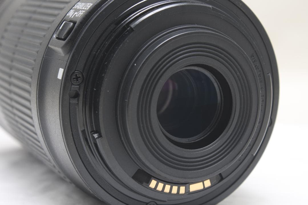 キヤノン EF-S 55-250mm F4-5.6 IS STM 6746