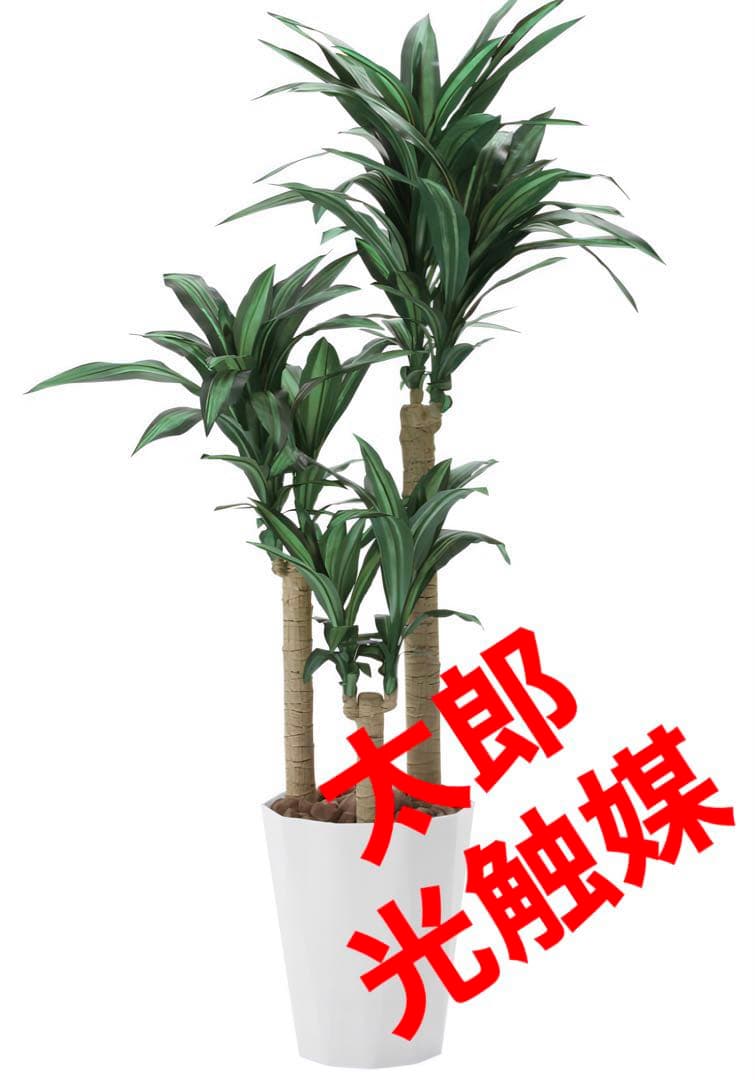 光触媒　人工観葉植物　ウォールグリーン　フェイクグリーン　幸福の木1.6