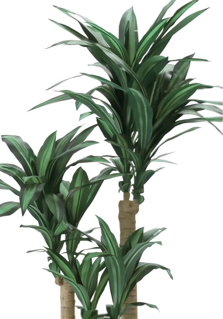 光触媒　人工観葉植物　ウォールグリーン　フェイクグリーン　幸福の木1.6