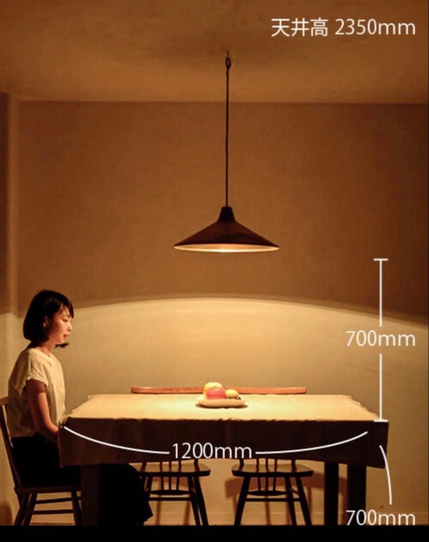 flame 真鍮製ペンダントライト brass L natural φ460㍉