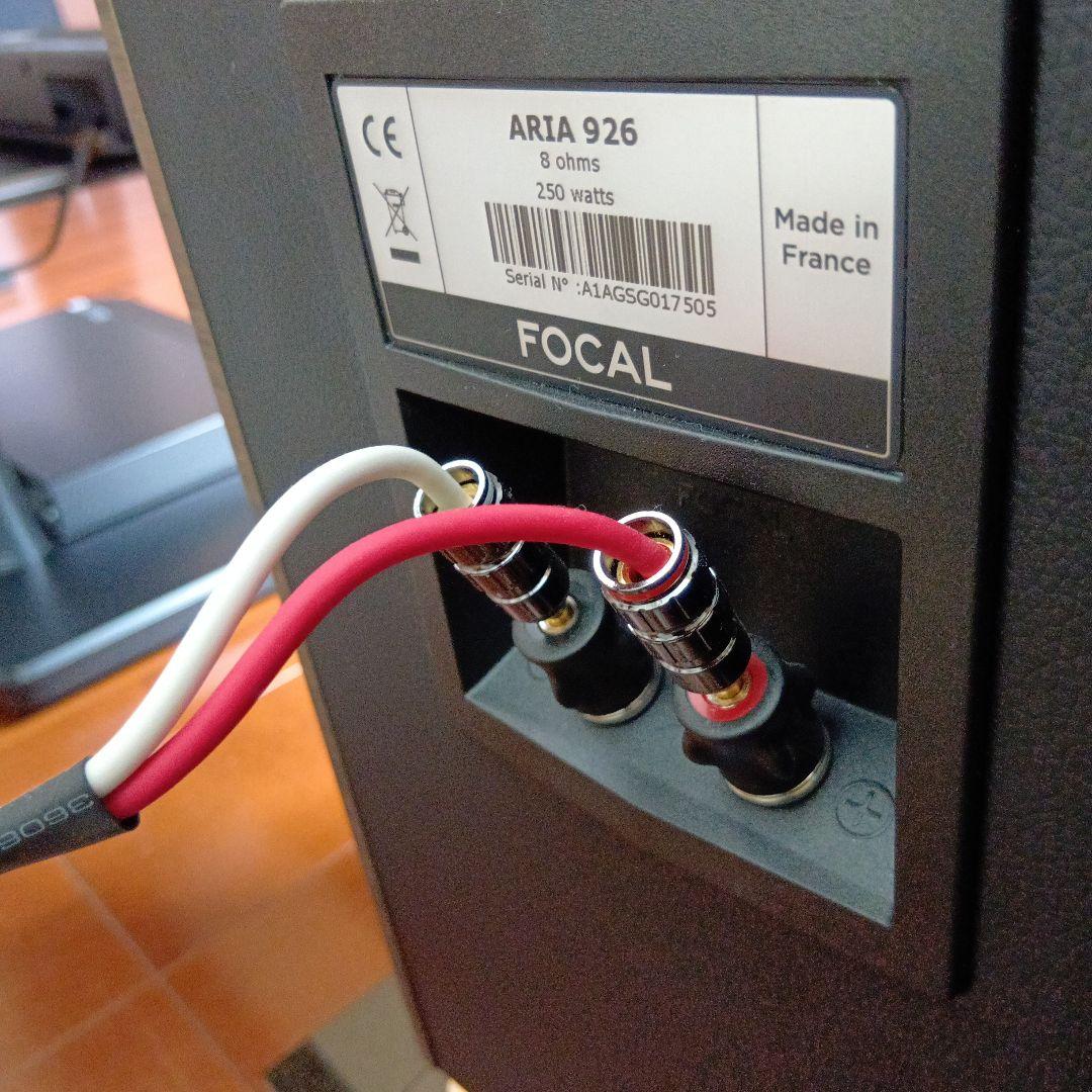【杏子2021 プロフ必読】Focal Aria 926 NY 1本（左）