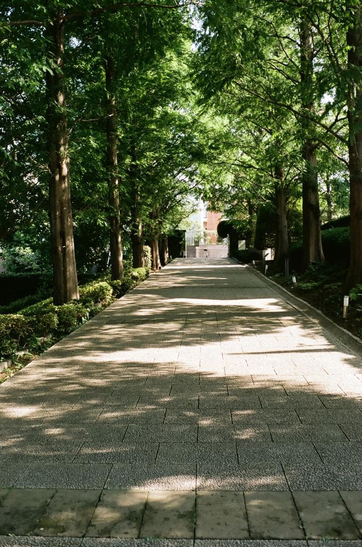 光学美品　minolta HI-MATIC F