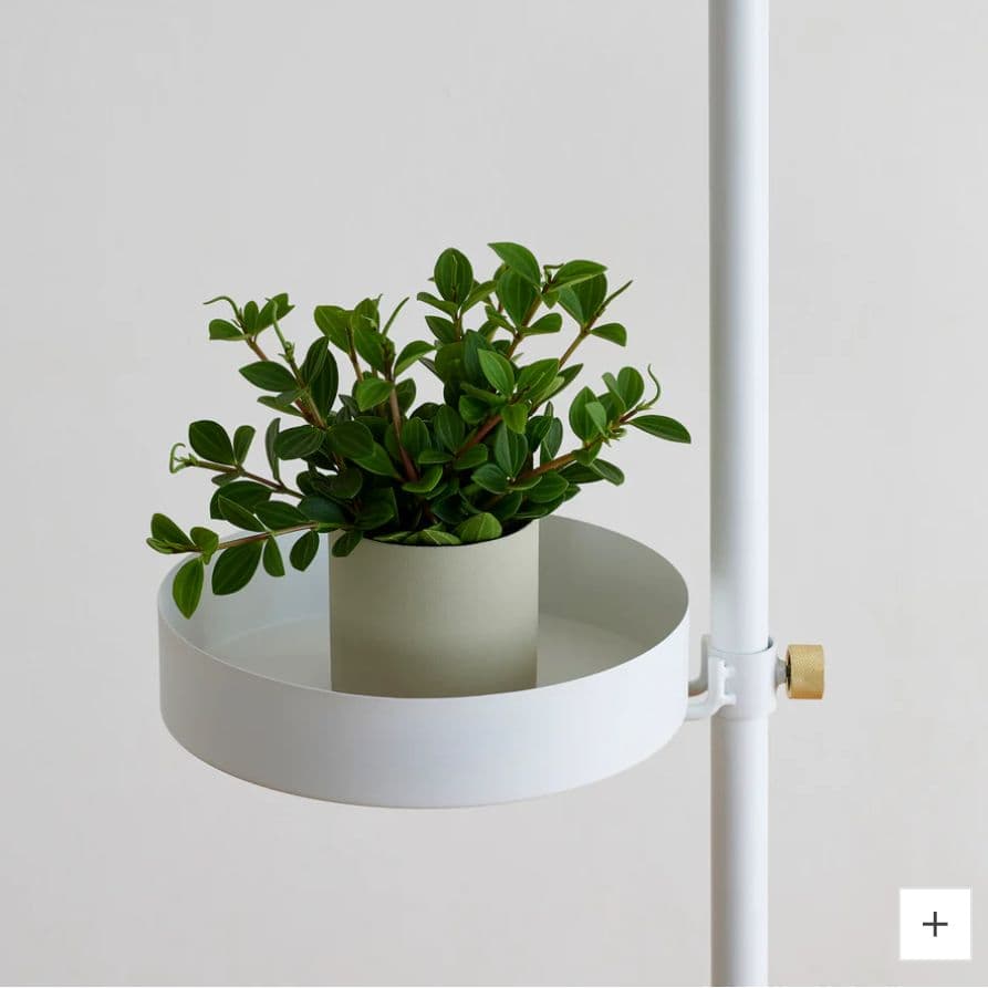 DRAW A LINE ドローアライン トレイ ＆ ロングフック セット