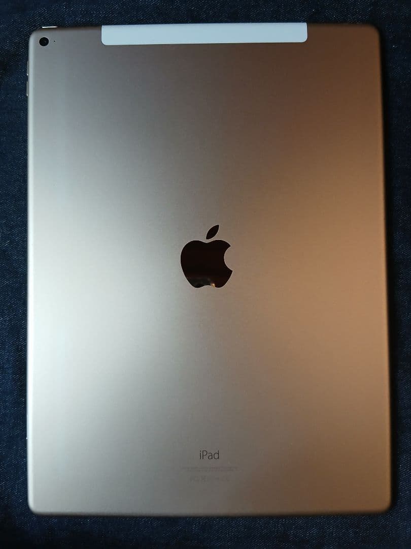 S*m様 iPad Pro12.9インチ 256GB wi-fiセルラー 要リペ