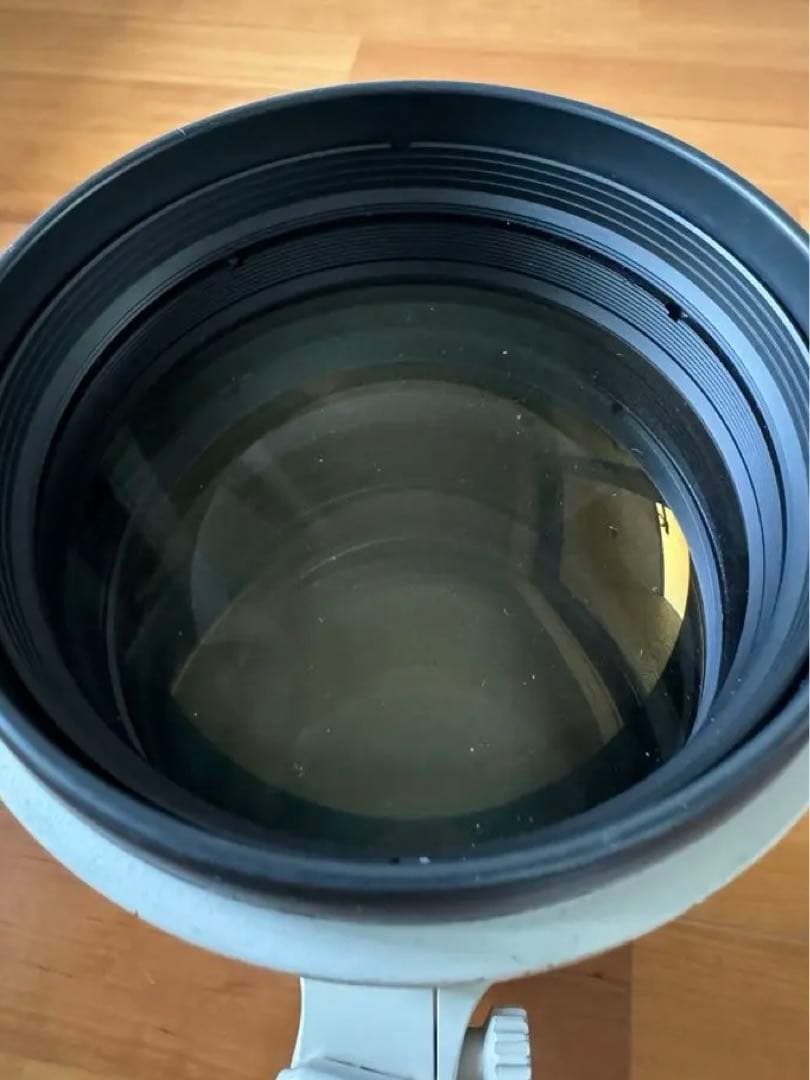 CANON EF300mm F2.8 L IS USM キャノン