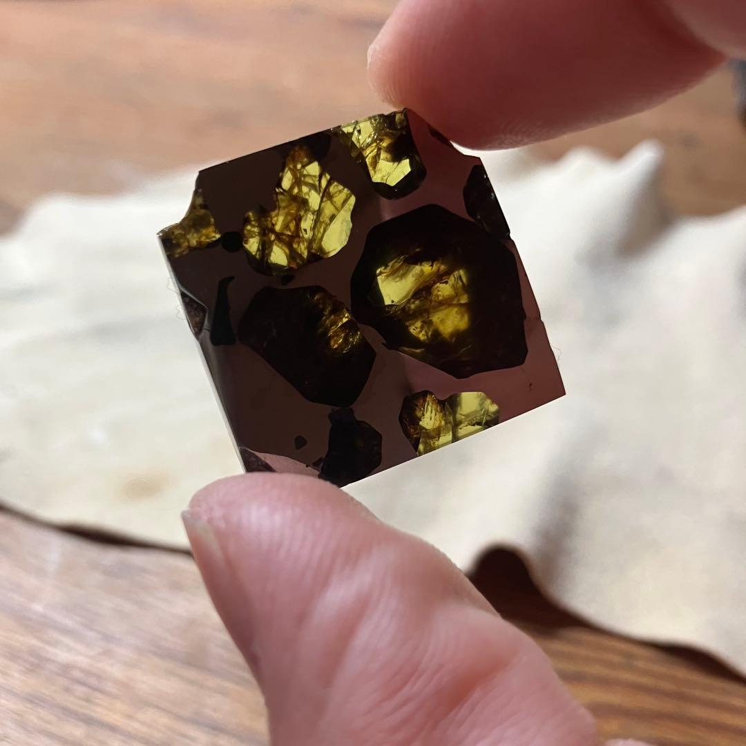 エスケル　隕石　ESQUEL パラサイト