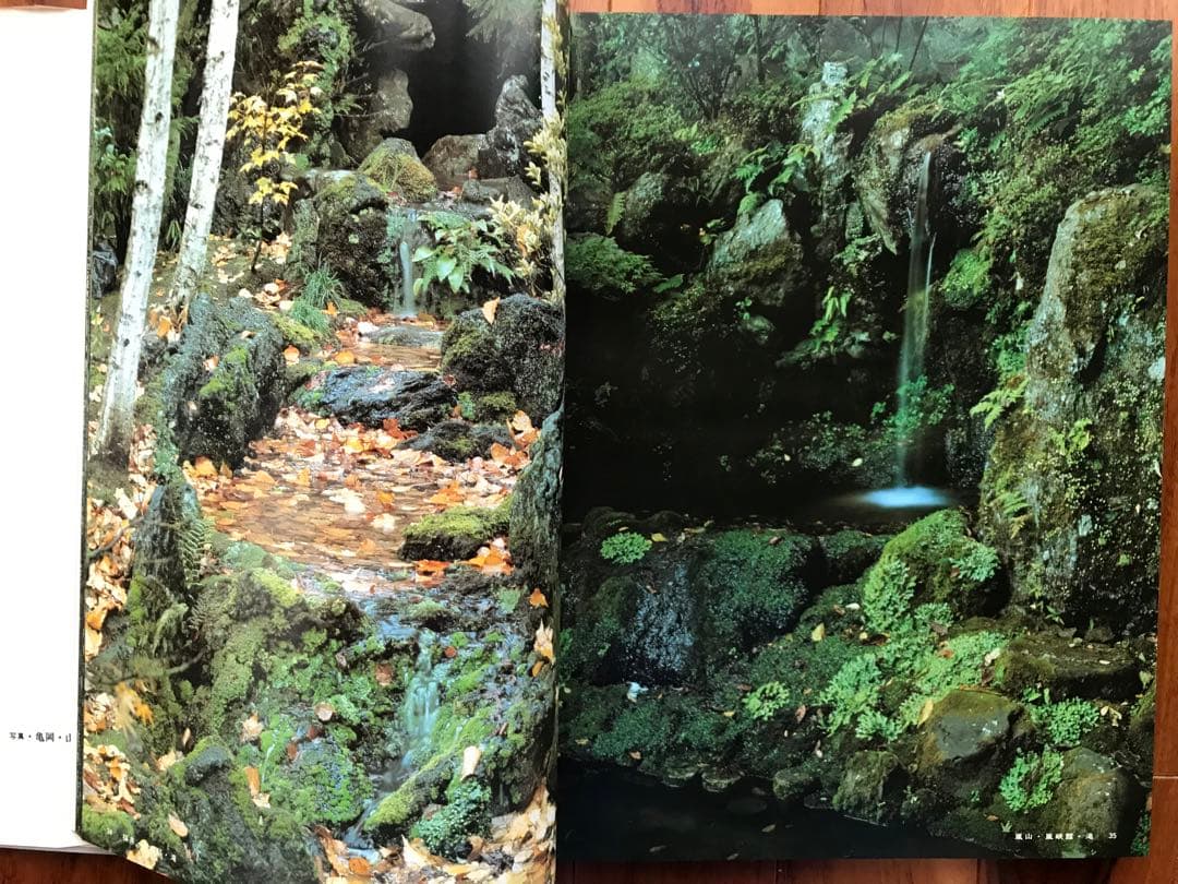 小島佐一　作庭集　第一版