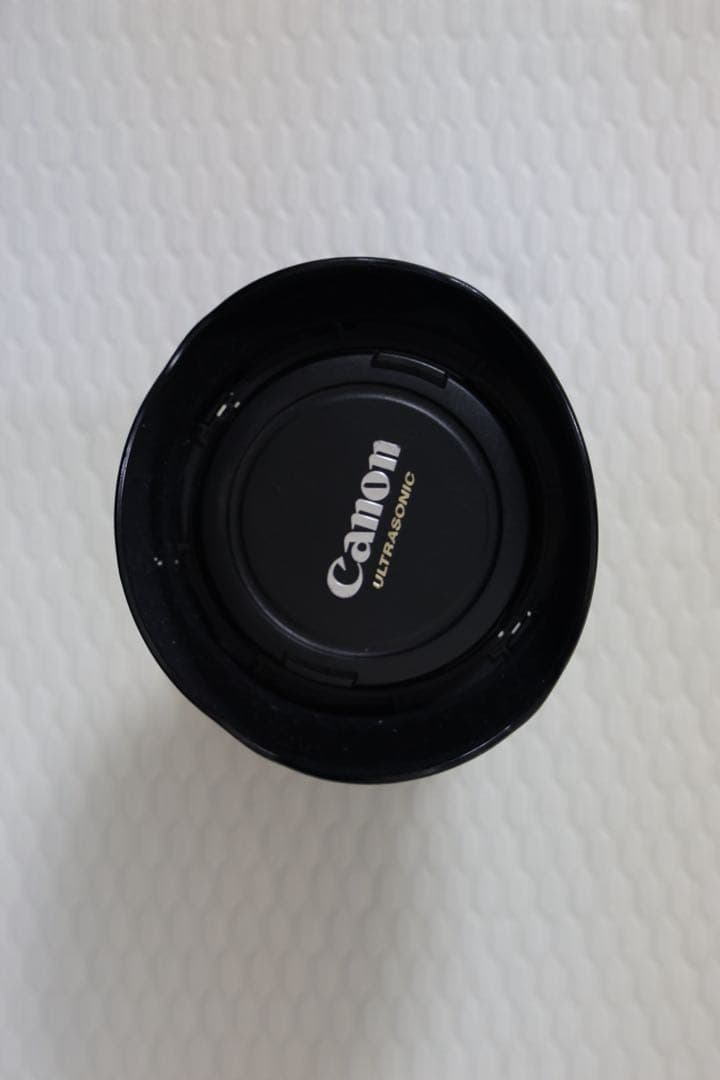 キヤノン EFレンズ EF16-35mm F2.8L USM