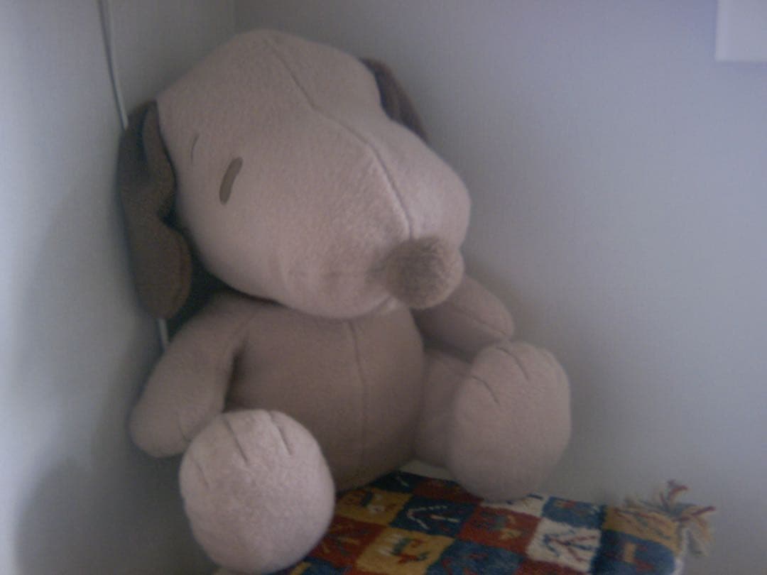 デジタルカメラ MINOX DIGITAL CLASSIC CAMERA Leica M3