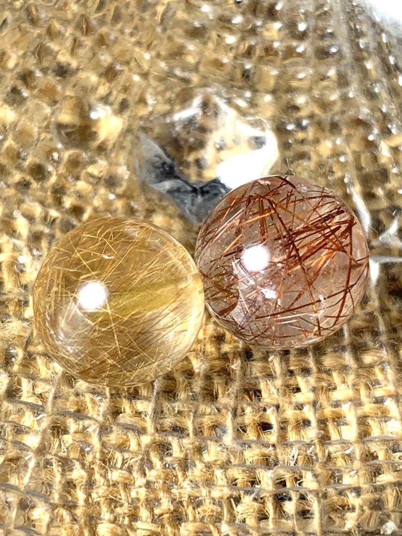 猿たまさんご確認用