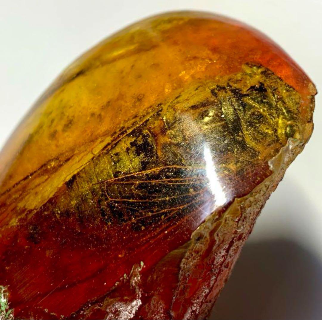 琥珀 昆虫標本天然形成入り琥珀 蝉　飾り　不思議　可愛い吉祥物　　置物