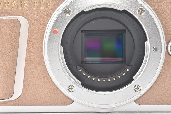 オリンパス OLYMPUS PEN E-PL9 ブラウン 望遠レンズ付き