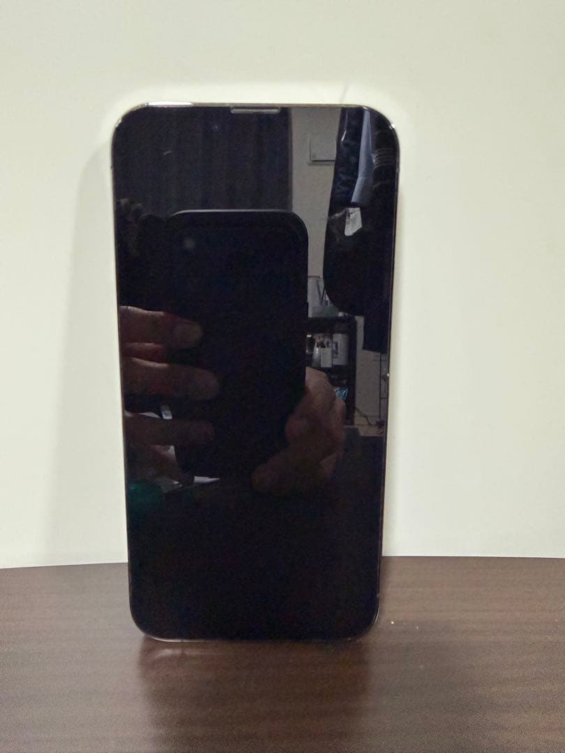 Apple iPhone 13 Pro 本体 グラファイト 256GB