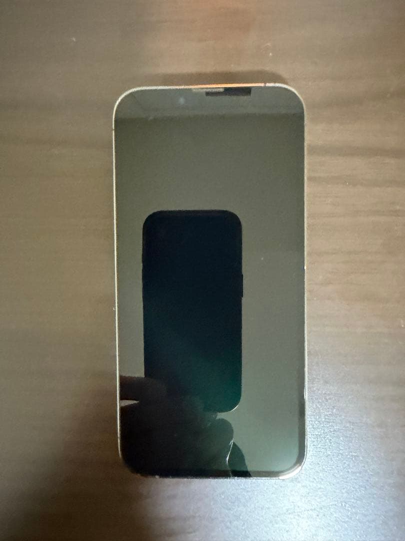 Apple iPhone 13 Pro 本体 グラファイト 256GB